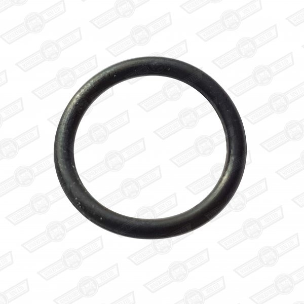 'O' RING-CAMSHAFT SENSOR AND BLANKING PLUG