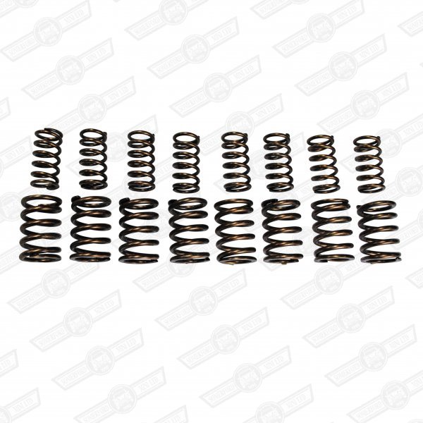 VALVE SPRING SET-DOUBLE, 280lb 8,000 RPM PLUS RACE USE